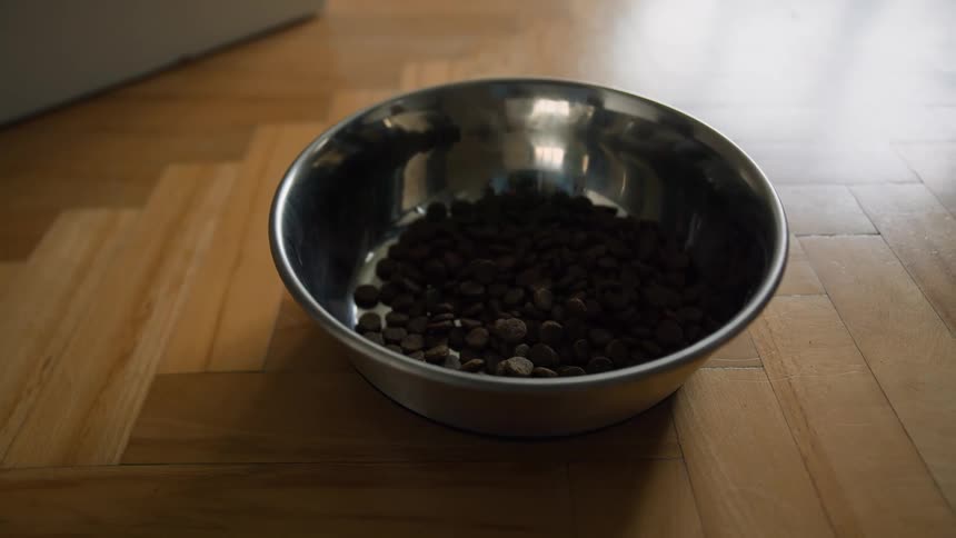 A human hand putting dog food into a metal bowl