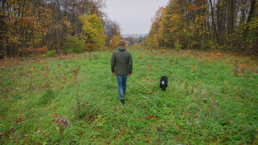 A man and a dog walking through a field in the forest