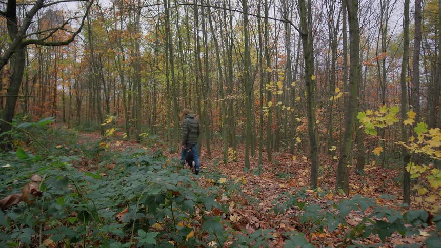 Man and dog walk through forest in autumn
