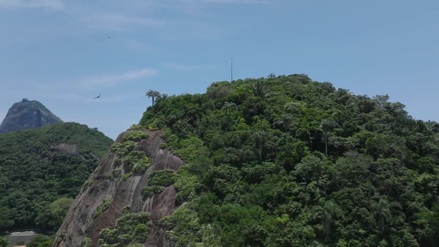 A mountain of rocks with a forest of green trees on top and some birds flying around