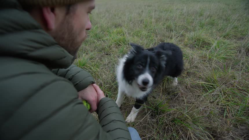 A bearded man plays ball with his border collie dog in the park