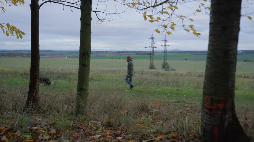 Man and dog walk through field between transmission towers and trees during the fall