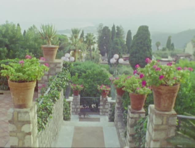 Cat walks across the path in a flower garden with mountains in the distance