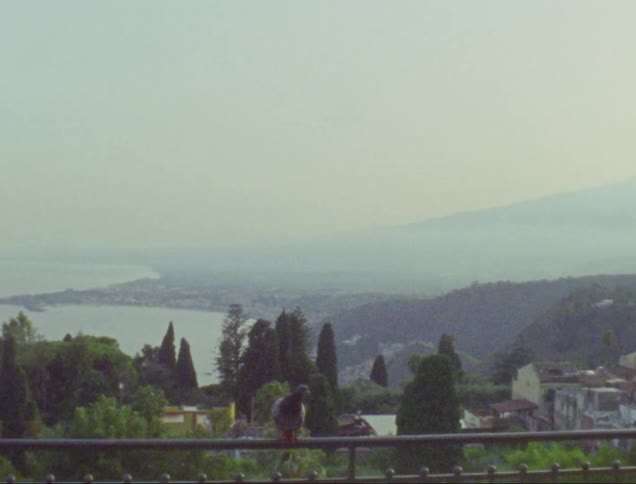 A bird sits on a railing above the shore and then flies away