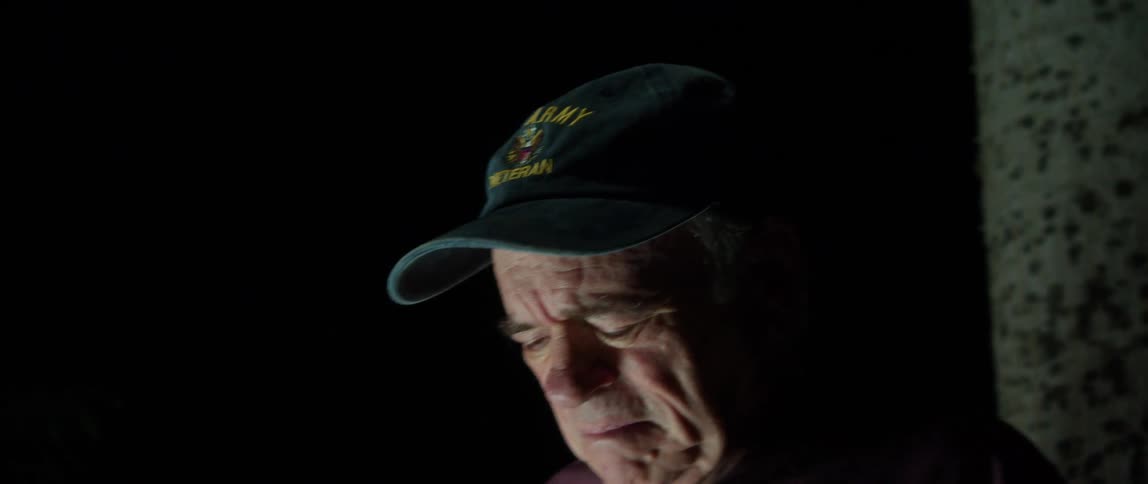 A man is standing in his yard at night