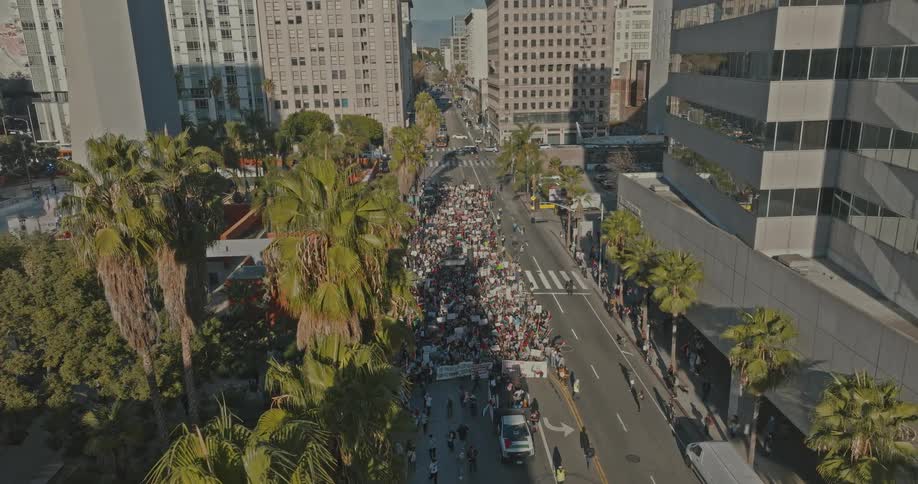 Crowd protesting in the streets of a metropolis