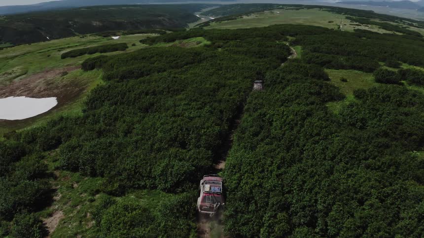 A recreational vehicle driving through a narrow forest path
