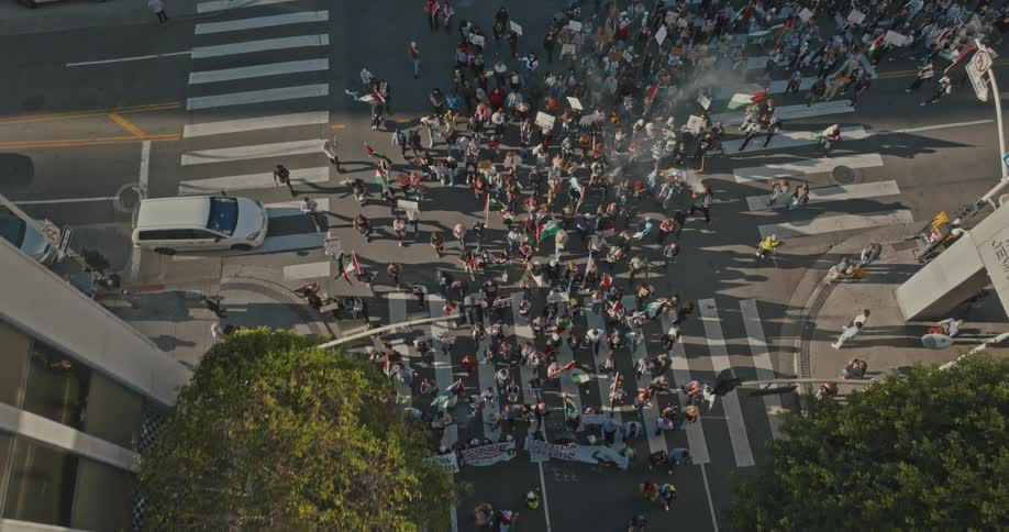 A crowd of protesters on the streets of the big city