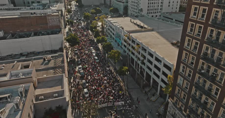 A large crowd protesting in the streets of the big city