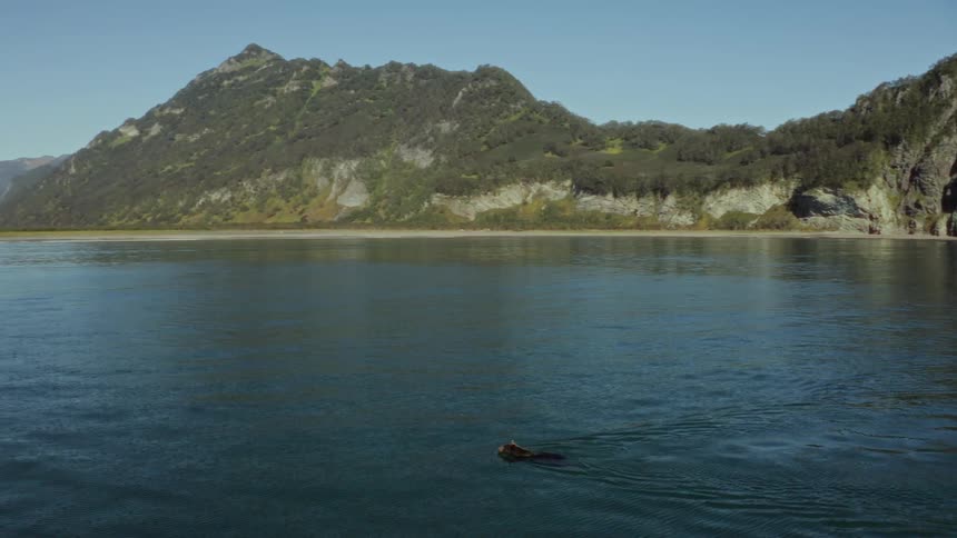 View of a lake with an animal swimming and mountains around