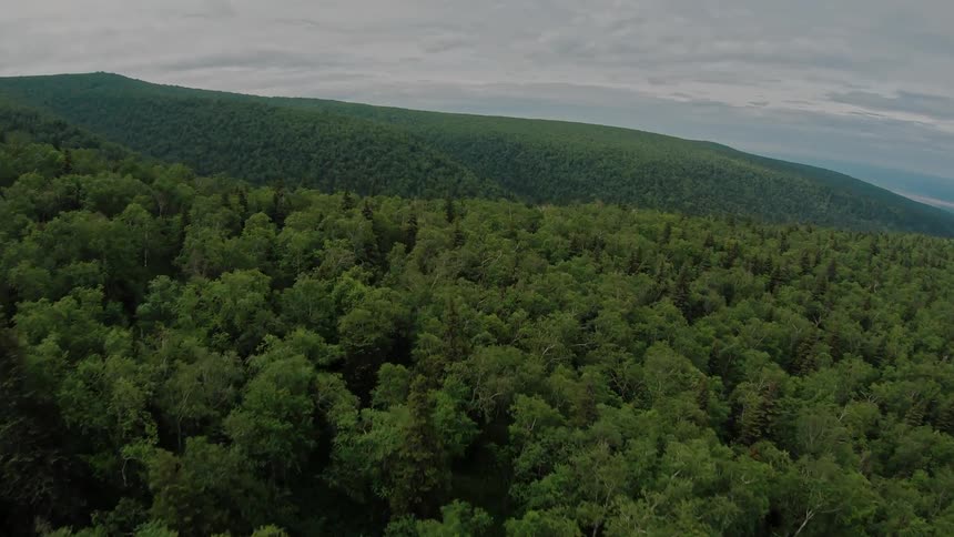 Aerial panorama of a forest beneath the mountains on a day with a blue sky and clouds