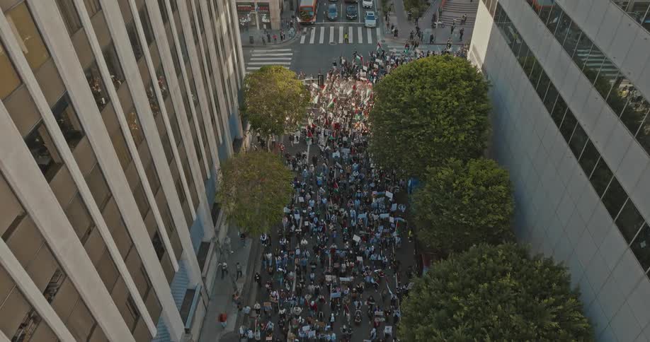Aerial view of people marching on the city streets