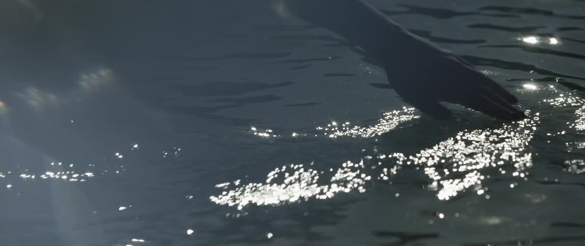 Hand of a person passing through the running water of a lake with sunlight reflection