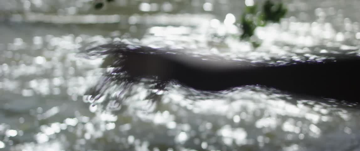 Out of focus shot of a hand waving in front of a river