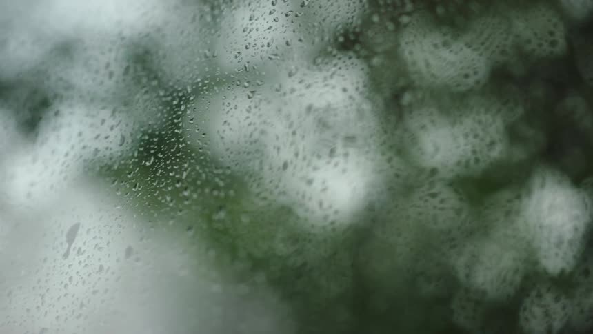 Water drops on glass blur outside tree leaves swaying in the wind