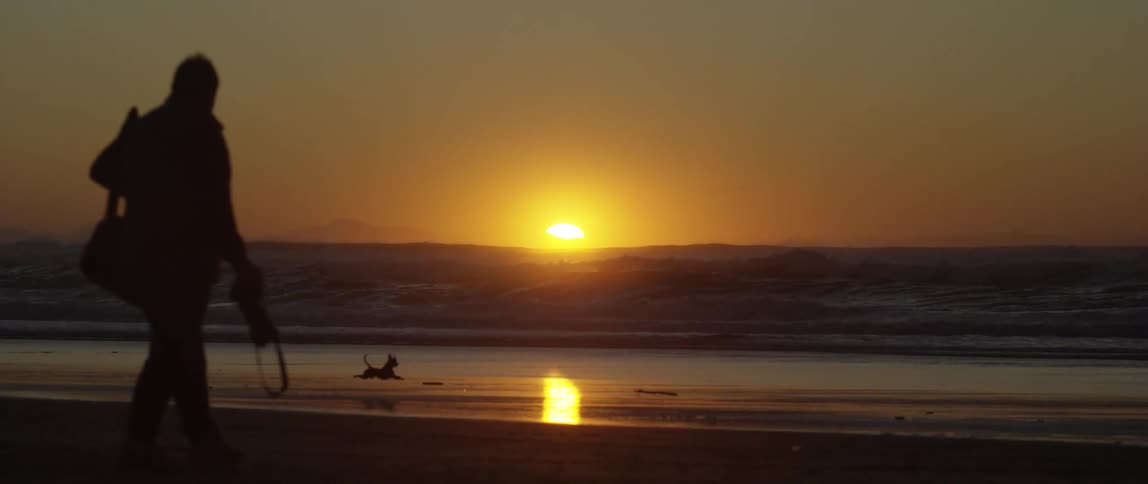 A man photographing a dog by the sea at sunset