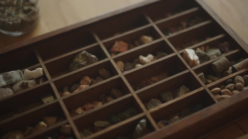 Wooden box with compartments and various species of stones