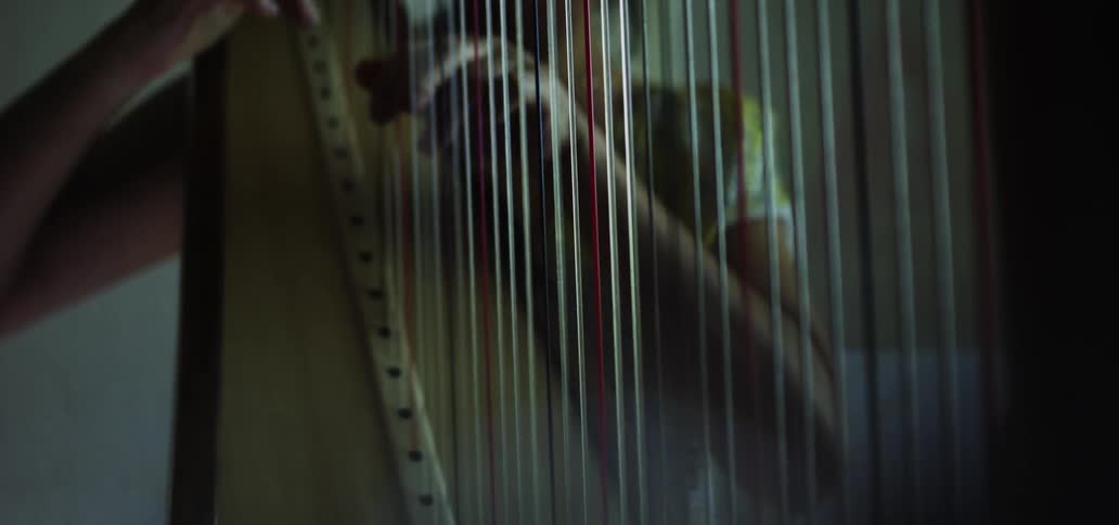 A musician playing the harp with a beautiful melody
