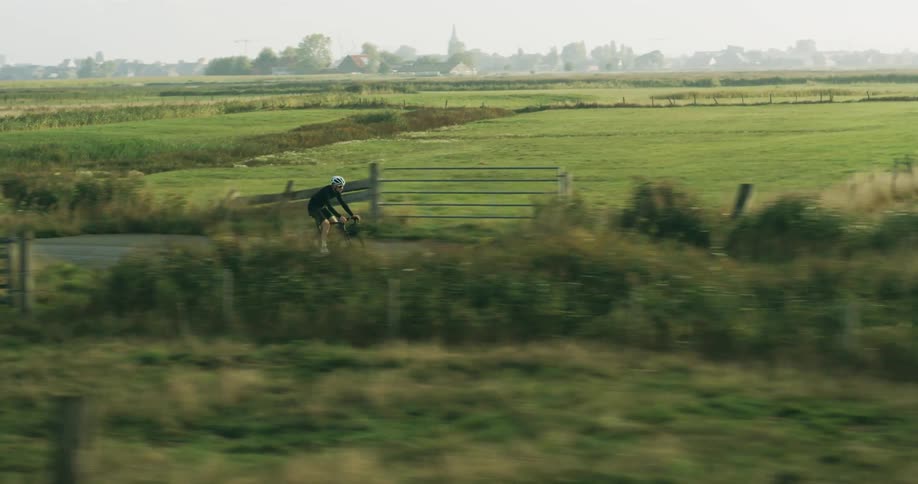 Cyclist riding on a straight road through pastures with cows in the morning