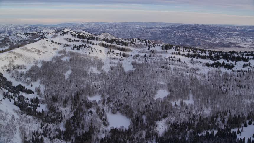 Aerial of mountain with pine trees during winter