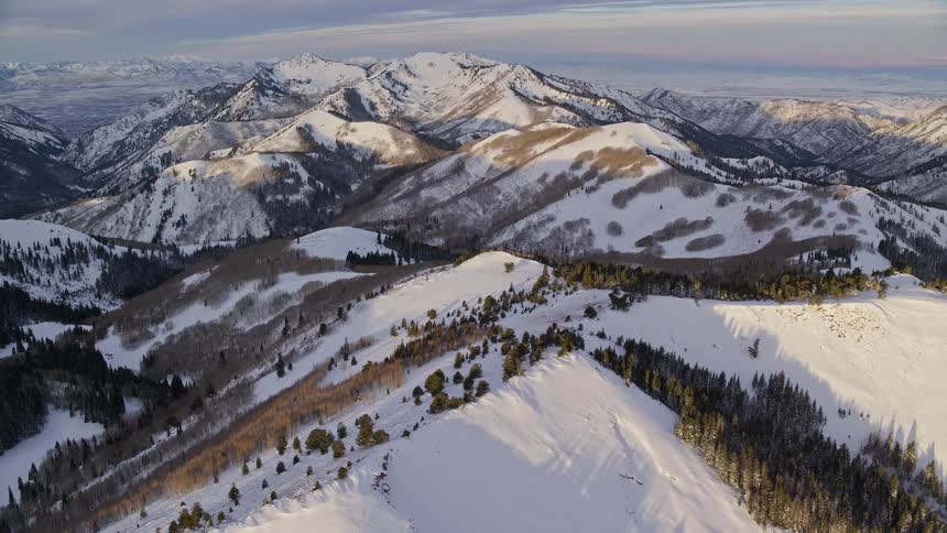 Panorama of a landscape with a mountain range coniferous trees and covered in snow