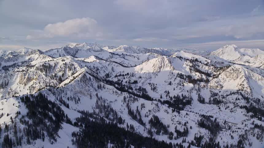 Mountain range covered in snow and trees during the day