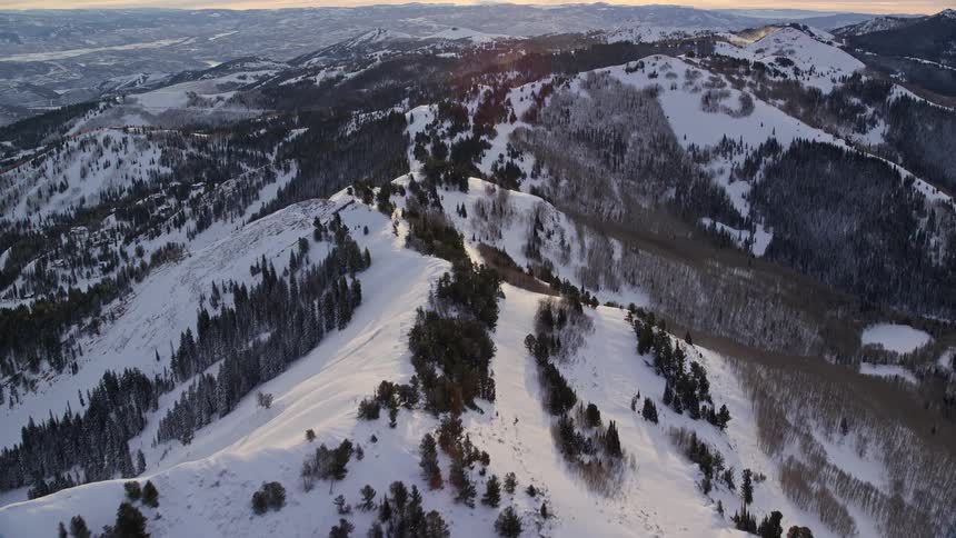 Aerial panorama of peaks and snowcovered mountains with conifers under a dawn sky