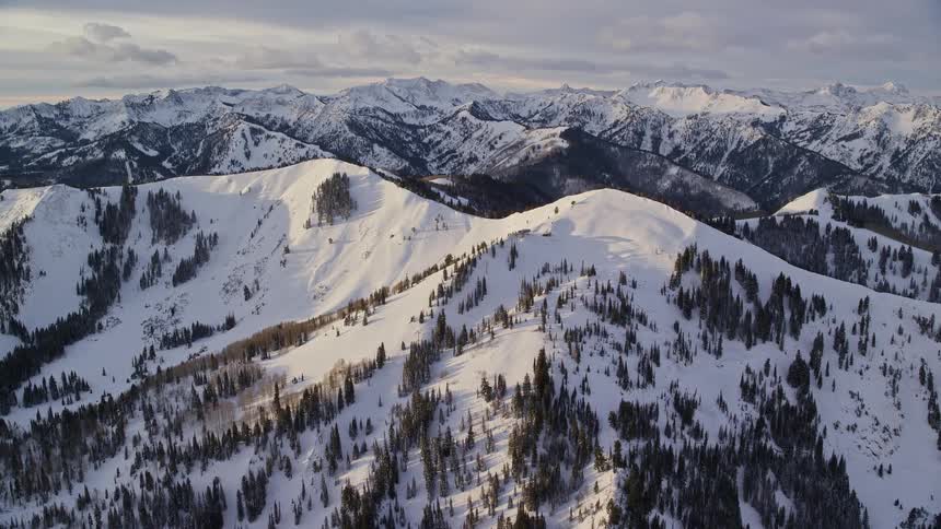 Aerial panorama of mountain range with conifers in a morning