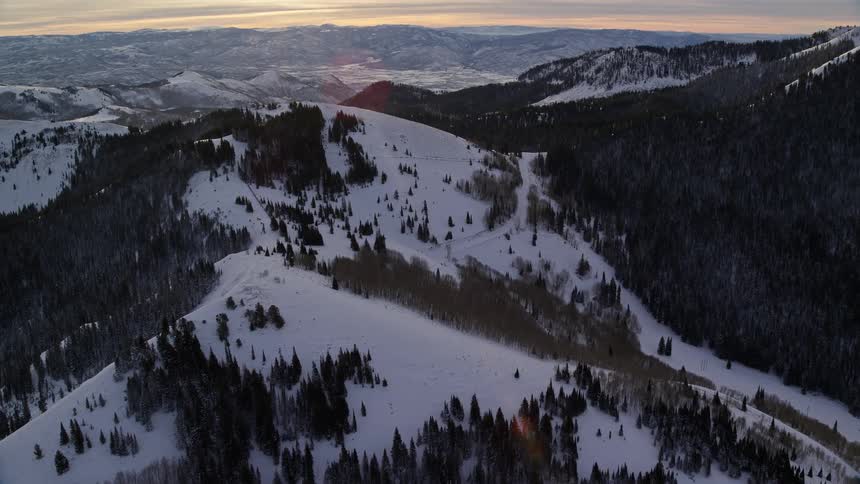 Aerial view of snowy mountain slope and green forest