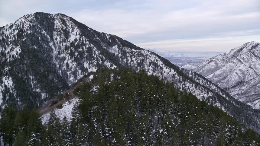 Aerial panorama of mountains with peaks and conifers covered in snow