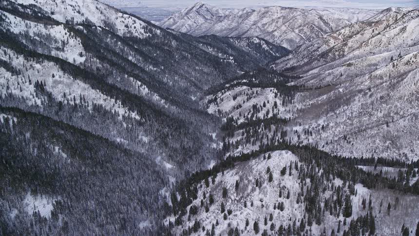 Panorama of snowcovered mountains with coniferous forests