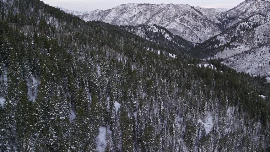 An aerial view of a snowcovered forest on a mountain slope near a valley