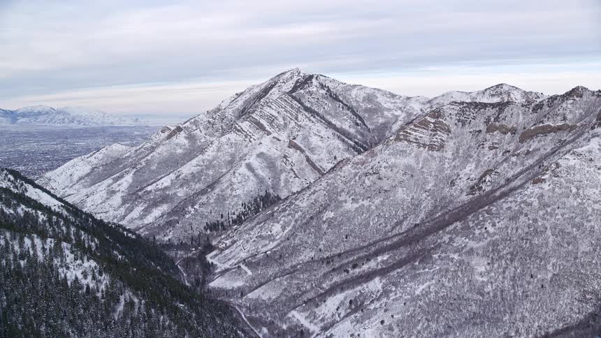 Valley and mountains with pine trees with snow during winter