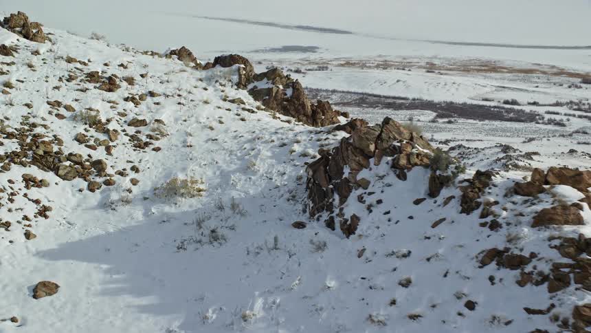 Aerial view of wild goats on the ridge of a snowy mountain