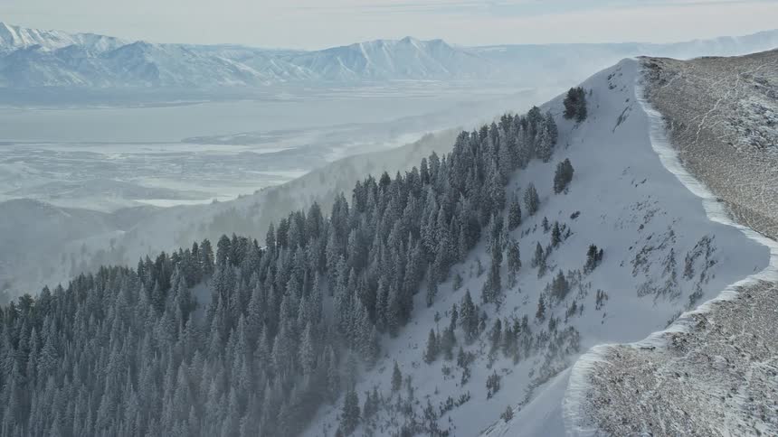 Aerial panorama of mountains with peaks and conifers covered in snow