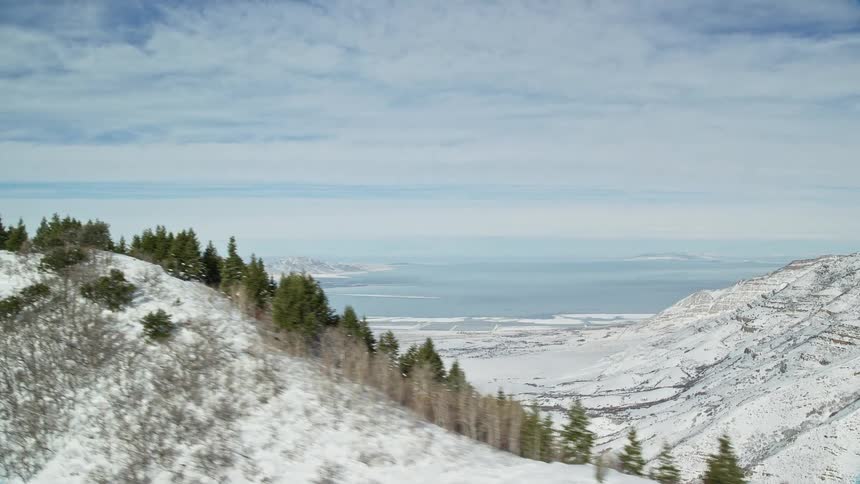 Conifers on the peaks of snowcovered mountains by the sea