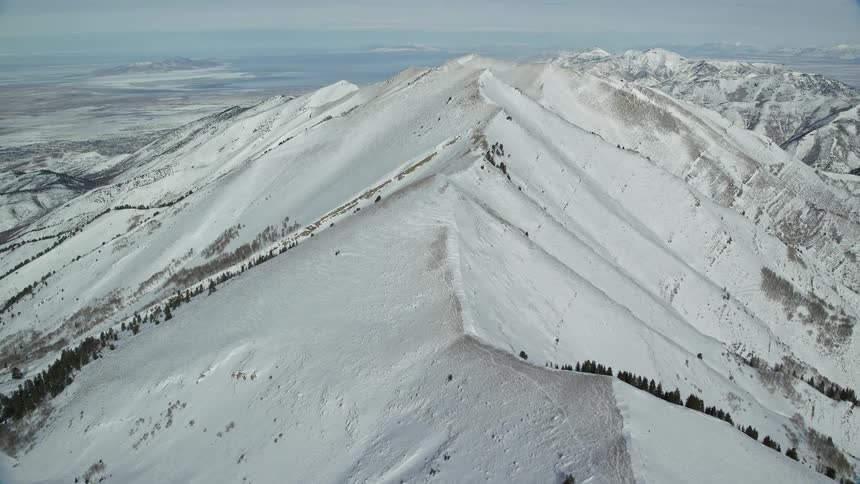 Aerial panorama of peaks and snowcovered mountains with conifers
