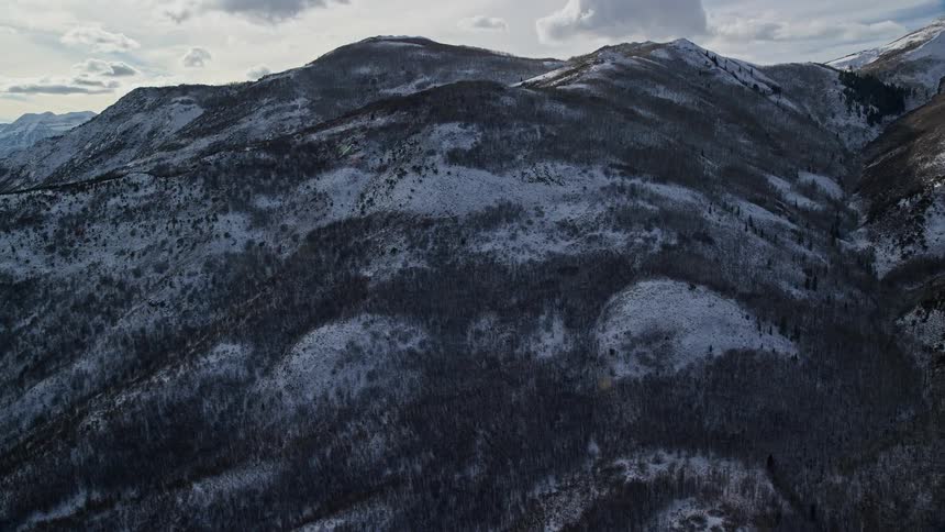 Aerial panorama of snowcovered mountains with trees under a morning sky