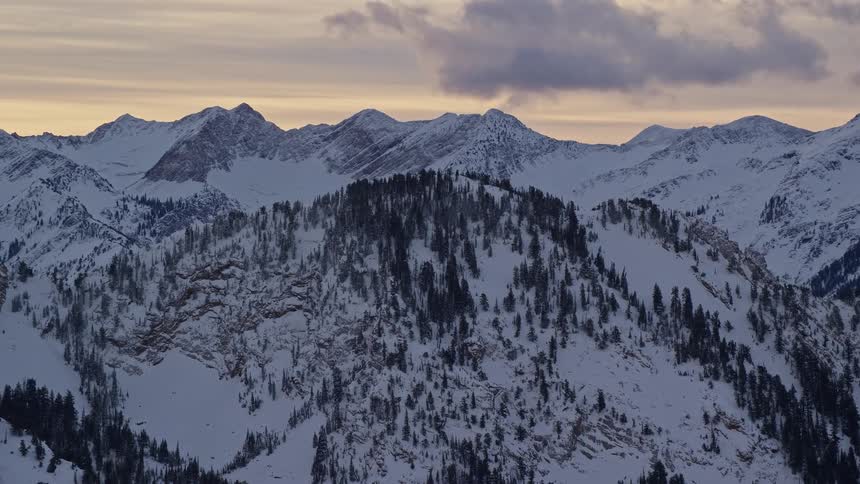 View of mountains with snowcovered conifers under a dawn sky