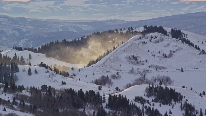 Aerial view of snowy mountain slope and a forest