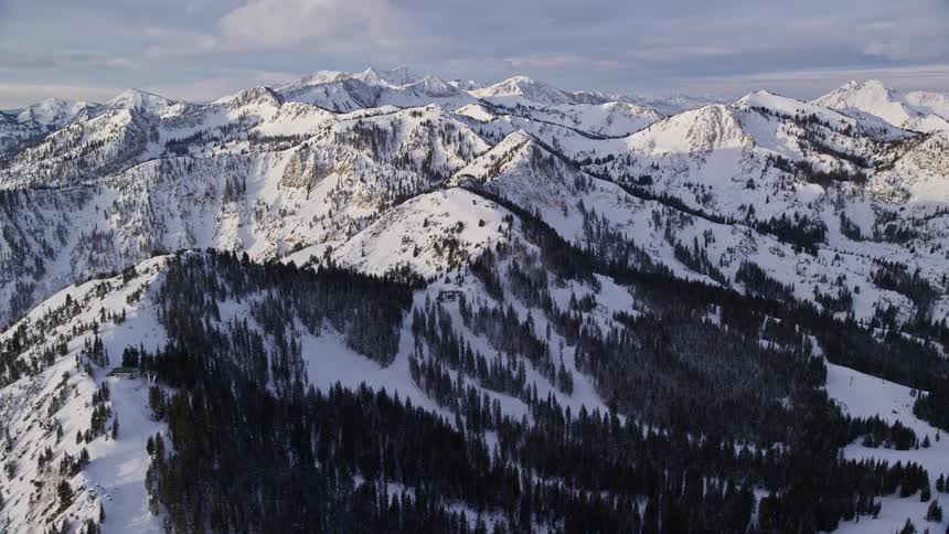 Aerial view of a range of snowcovered mountains with trees