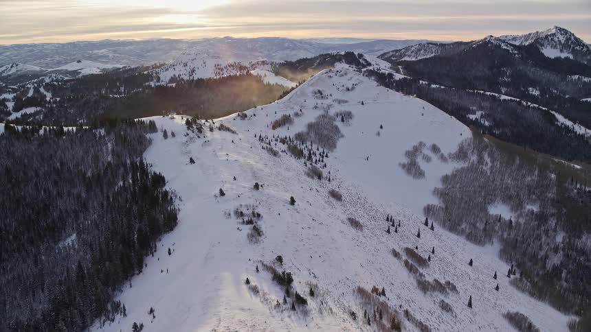 Aerial panorama of snowcovered mountains and coniferous trees in the morning