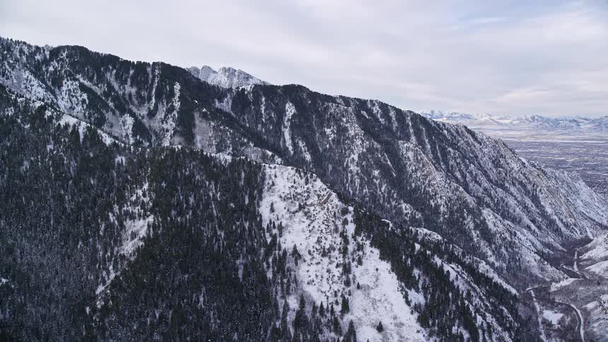 Aerial view of a mountain range covered with trees and snow