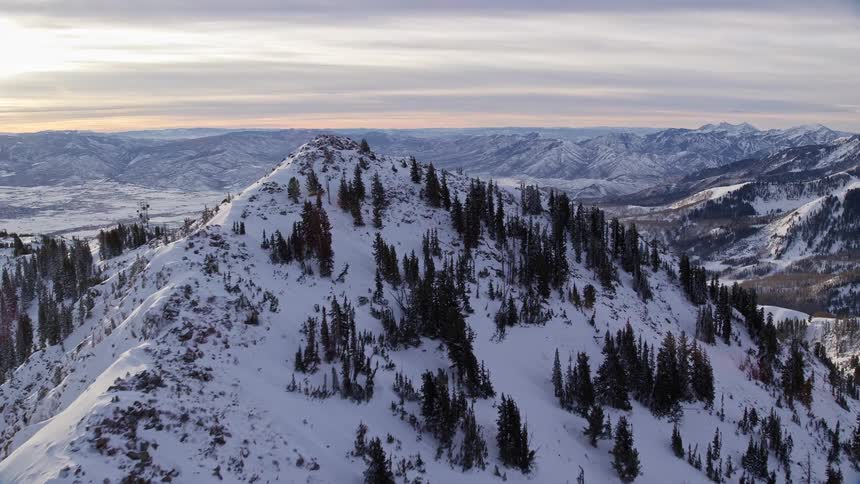 Aerial panorama of snowcovered peaks and mountains with conifers