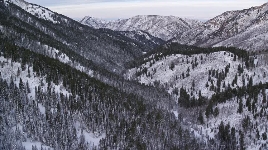 From above an expansive snowy valley unfolds adorned with a dense forest creating a serene and wintry landscape captured in the aerial view