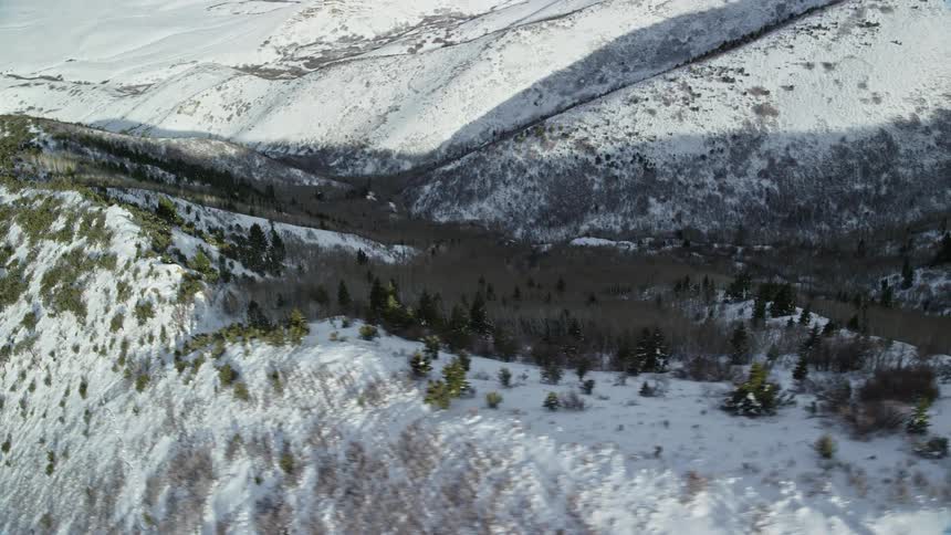 Panorama of a snowcovered mountain with conifers