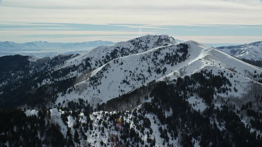 Aerial view of snowcovered mountains and coniferous trees