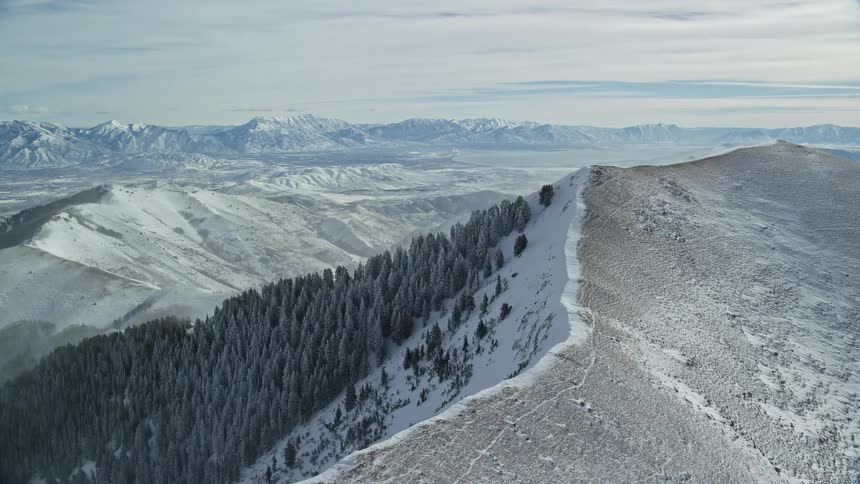 A mountain with a pine forest next to it and the weather is snowy