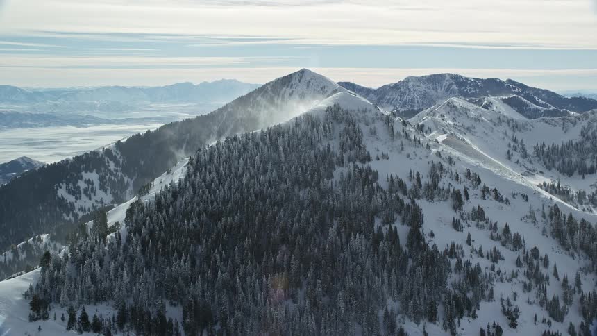 Snow frosted conifers cover parts of snowy mountains on a cloudy day