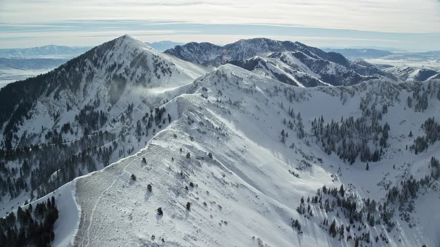Large mountains covered in snow and with some pine trees
